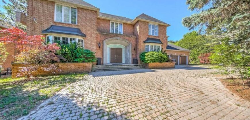 Bayview & York Mills House